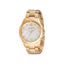 Pierre Cardin Gold Stainless Steel Dress Watch