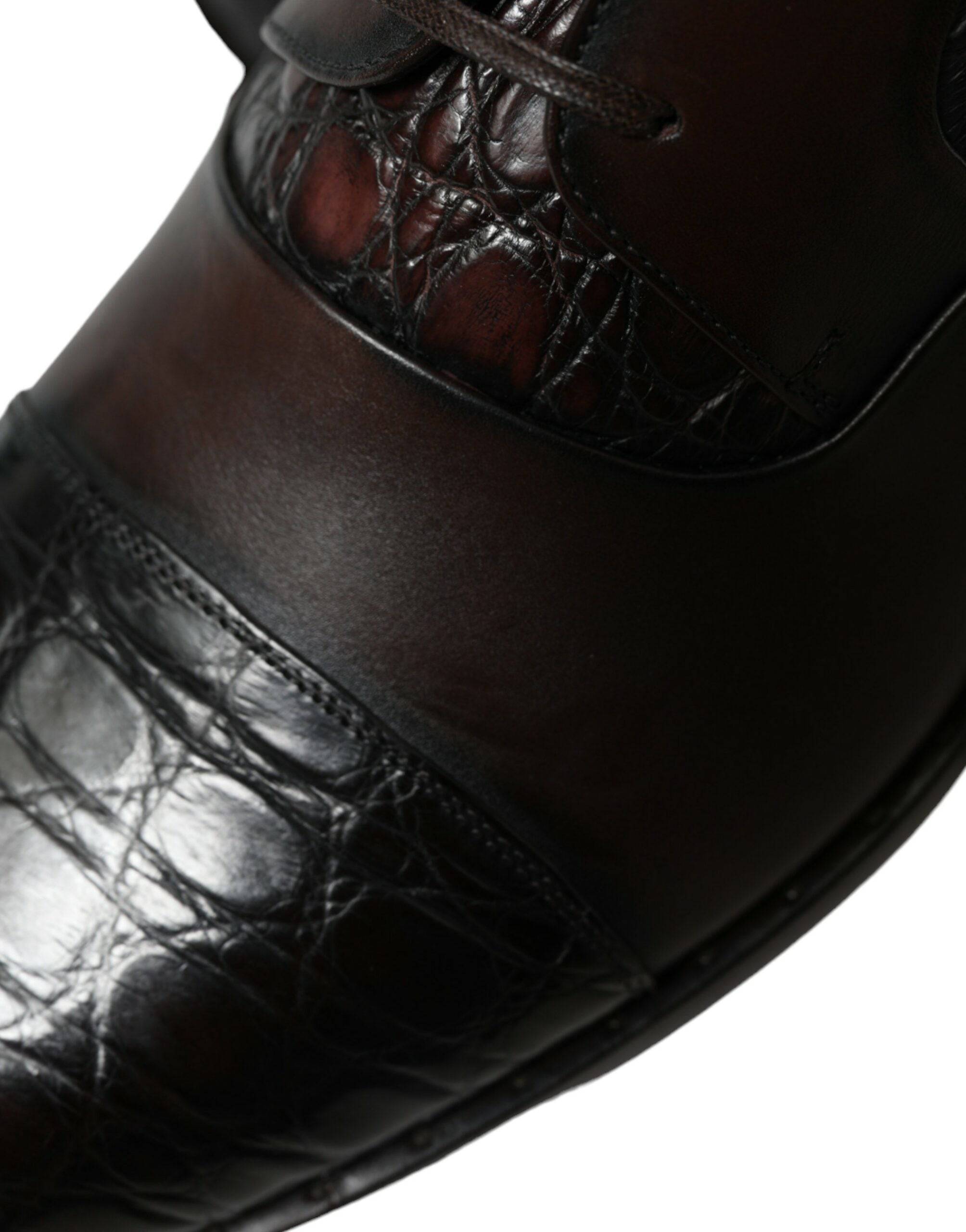 Dolce & Gabbana Elegant Brown Formal Derby Dress Shoes - ACCEXO