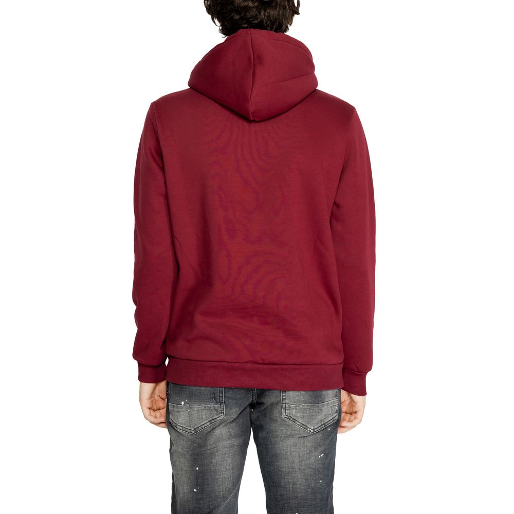 Icon Bordeaux Cotton Hoody - ACCEXO