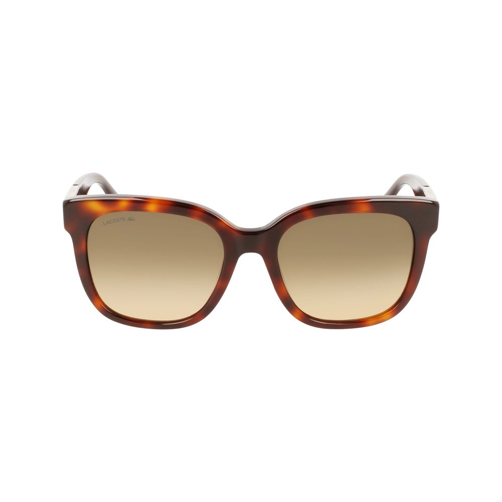 Lacoste Brown Acetate Sunglasses - ACCEXO