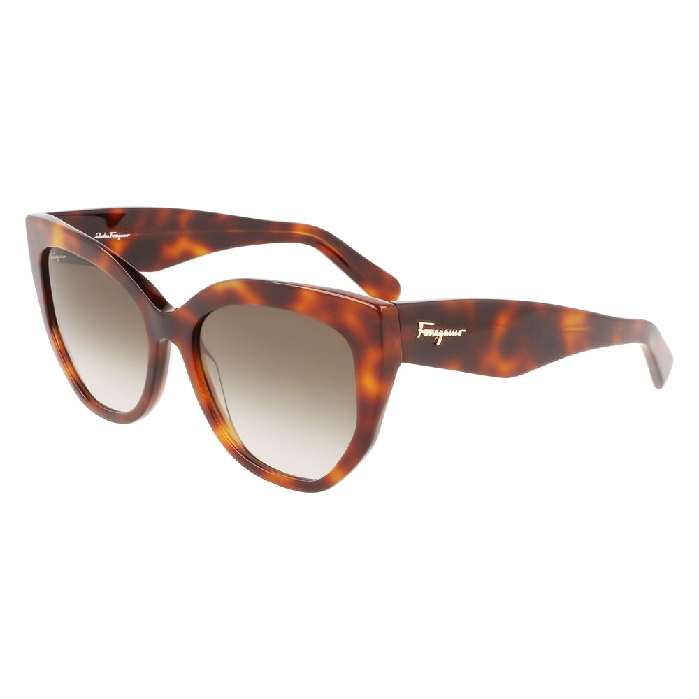 Ferragamo Brown Acetate Sunglasses - ACCEXO