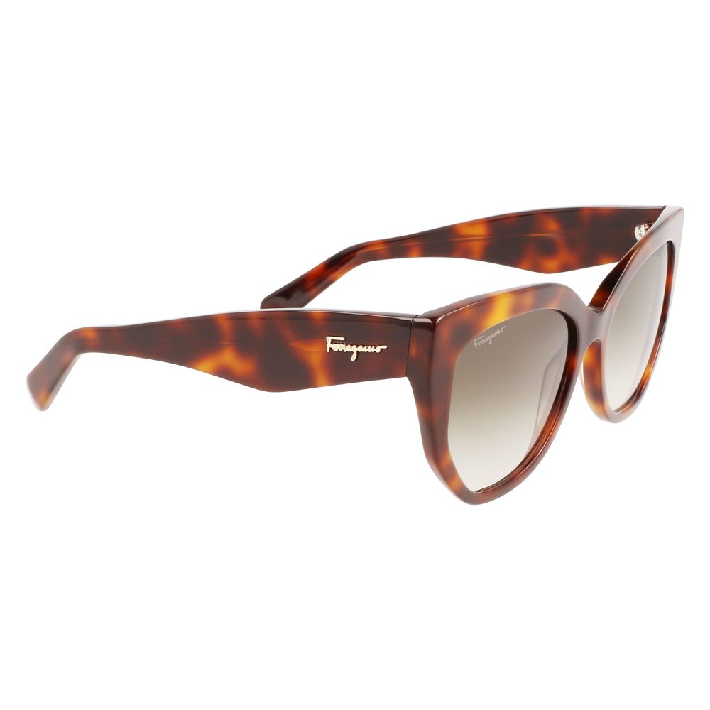 Ferragamo Brown Acetate Sunglasses - ACCEXO