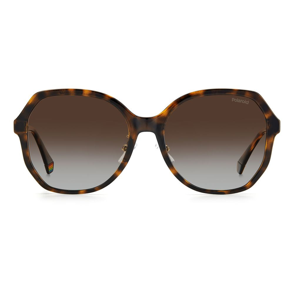 Polaroid Brown Plastic Sunglasses - ACCEXO