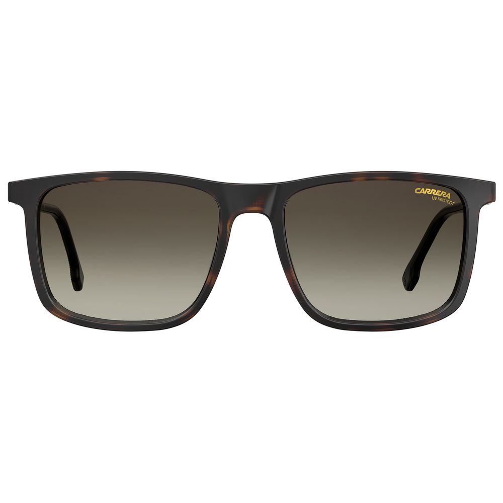 Carrera Brown Injected Sunglasses - ACCEXO