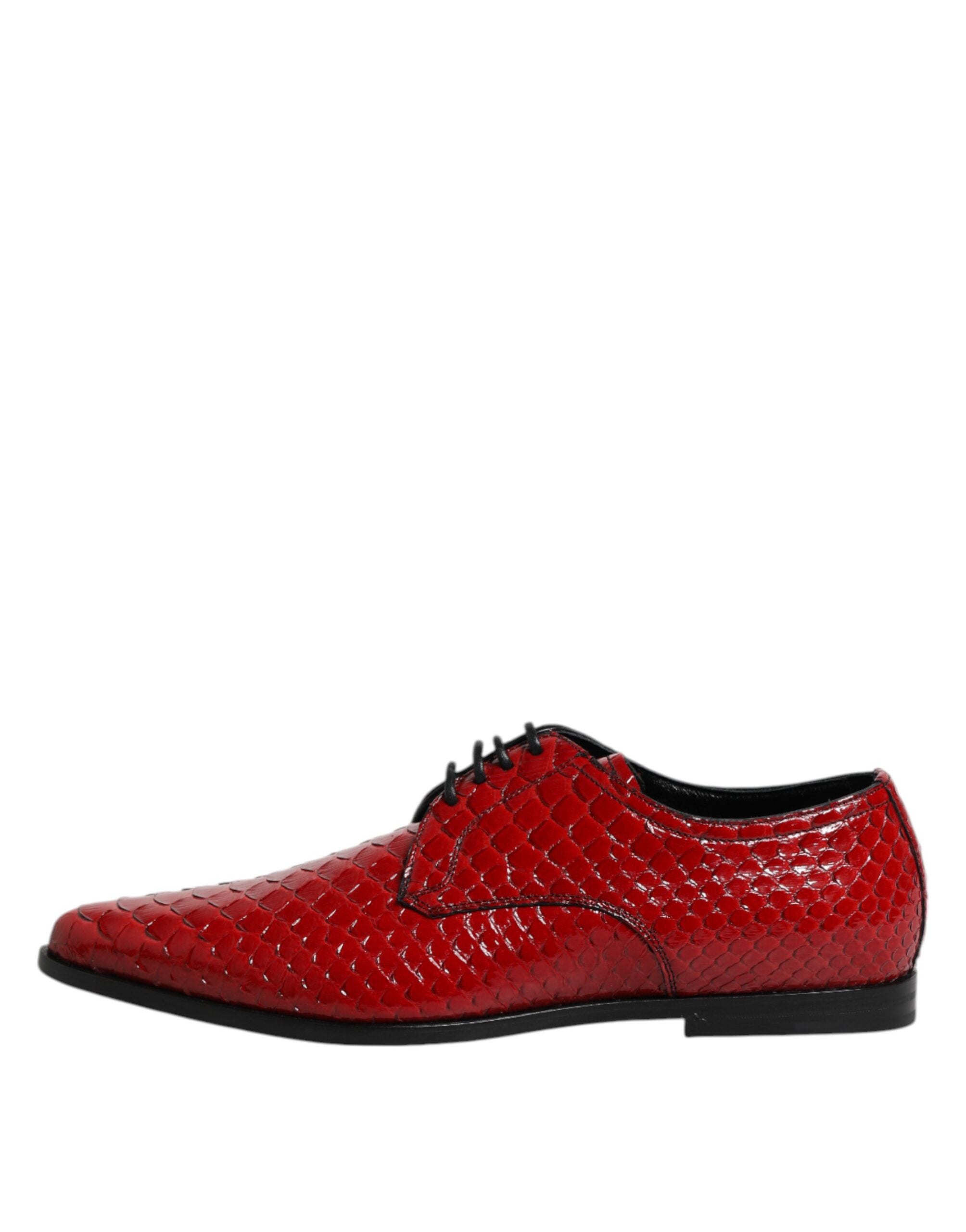Dolce & Gabbana Red Exotic Leather Lace Up Dress Derby Shoes - ACCEXO