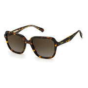 Polaroid Brown Acetate Sunglasses - ACCEXO