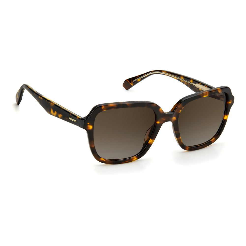 Polaroid Brown Acetate Sunglasses - ACCEXO
