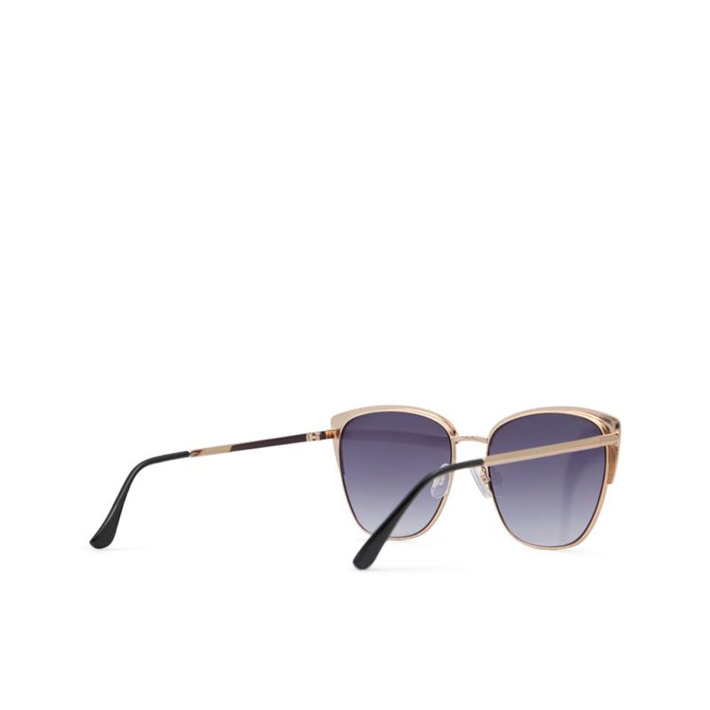 ALDO Multicolor Polycarbonate Sunglasses - Zachava