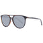 SKECHERS Brown Plastic Sunglasses
