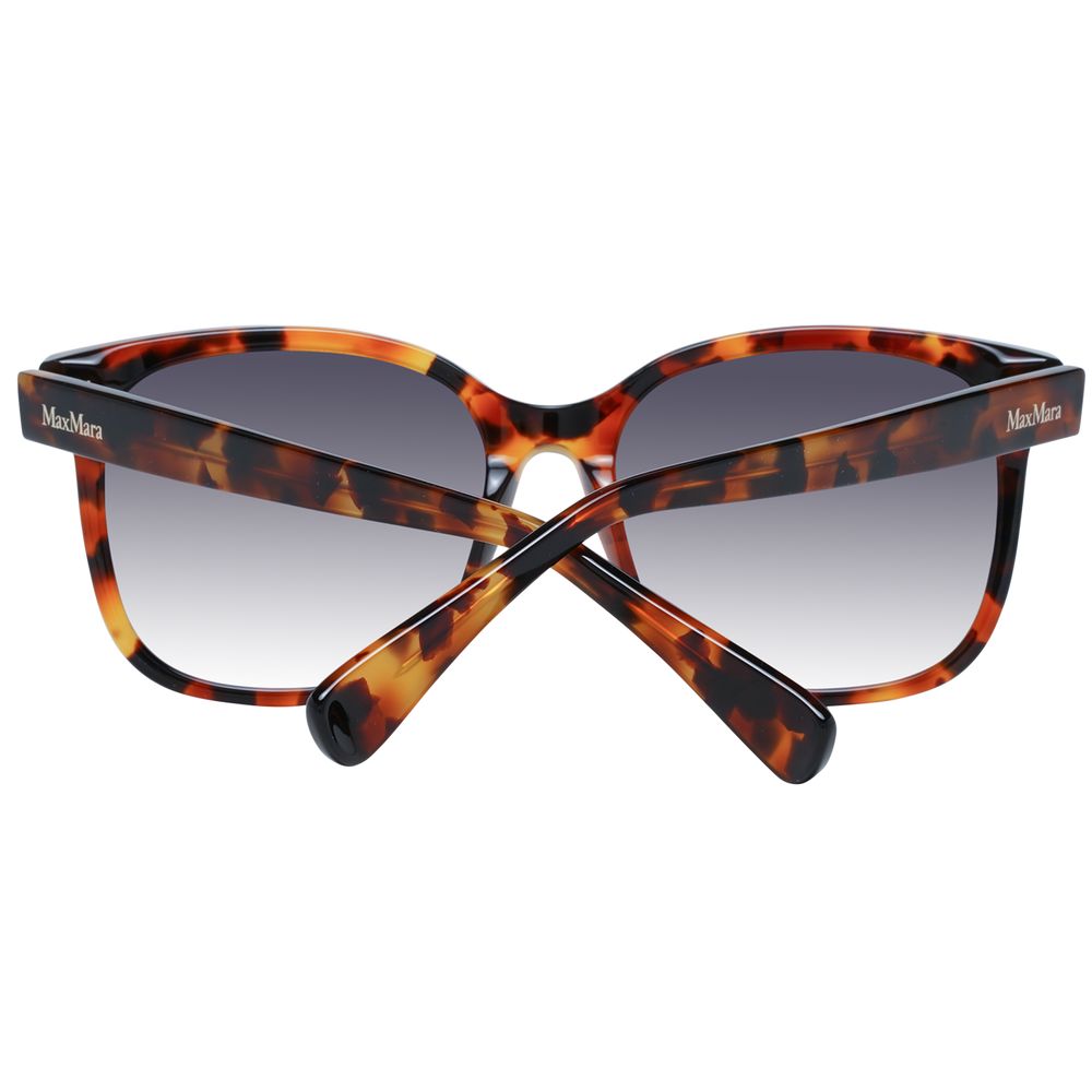 Max Mara Brown Acetate Sunglasses