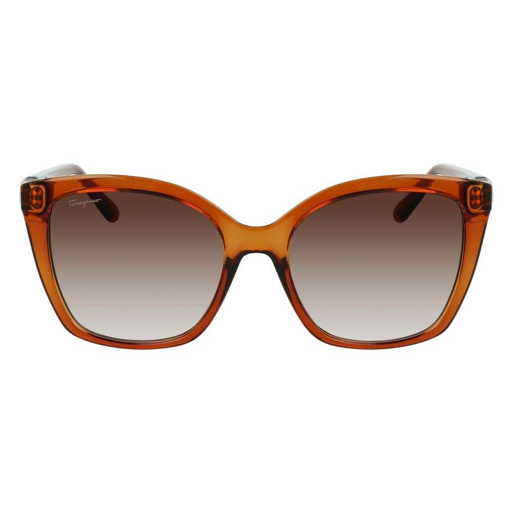Ferragamo Brown Injected Sunglasses
