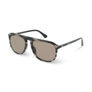 Police Brown Acetate Sunglasses