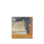 Burberry Multicolor Silk Scarf