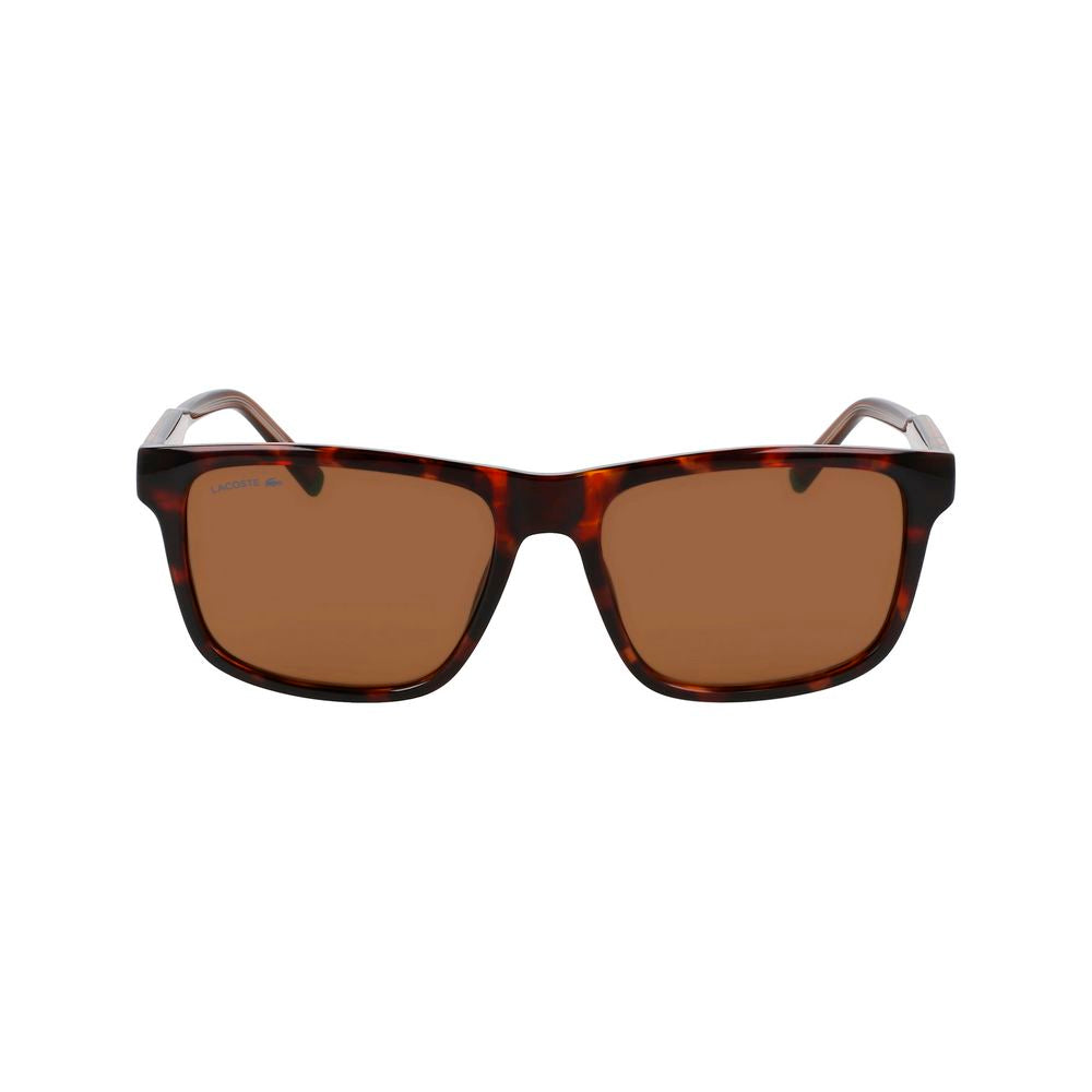 Lacoste Brown Injected Sunglasses Lacoste