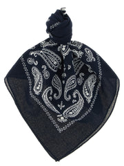 Polo Ralph Lauren Blue Cotton Foulard