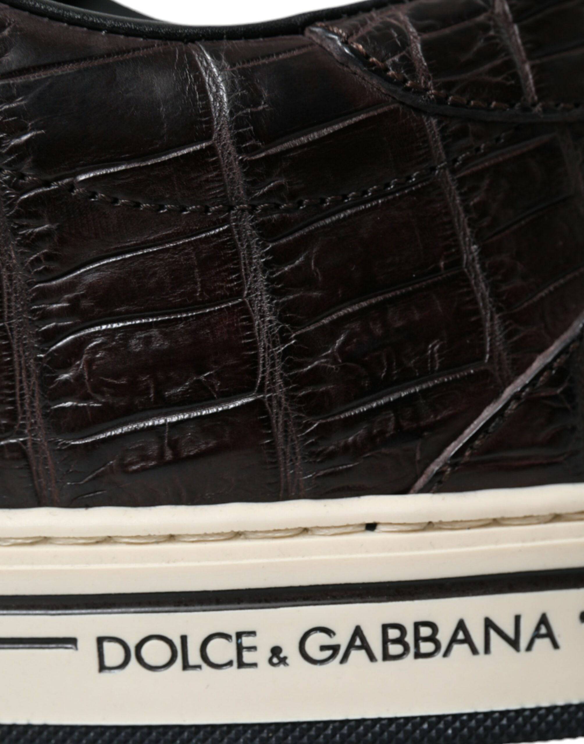Dolce & Gabbana Elegant Exotic Leather Low-Top Sneakers - ACCEXO