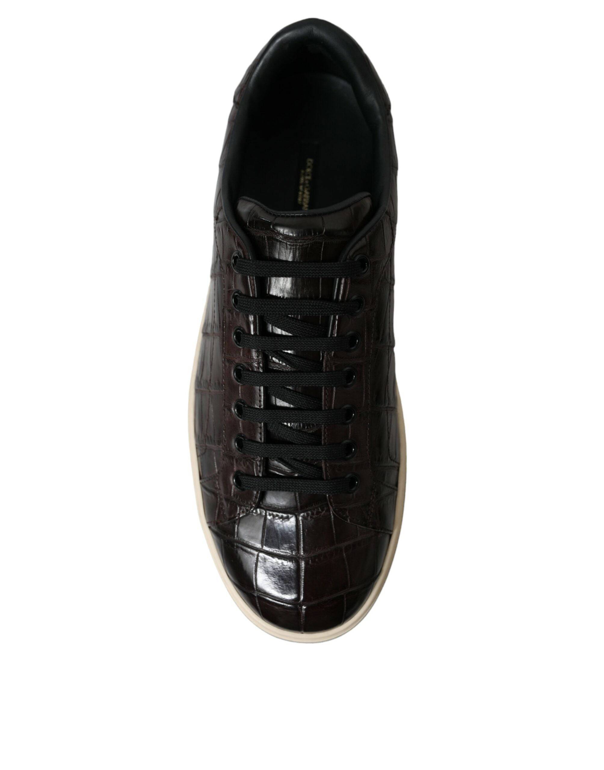 Dolce & Gabbana Elegant Exotic Leather Low-Top Sneakers - ACCEXO