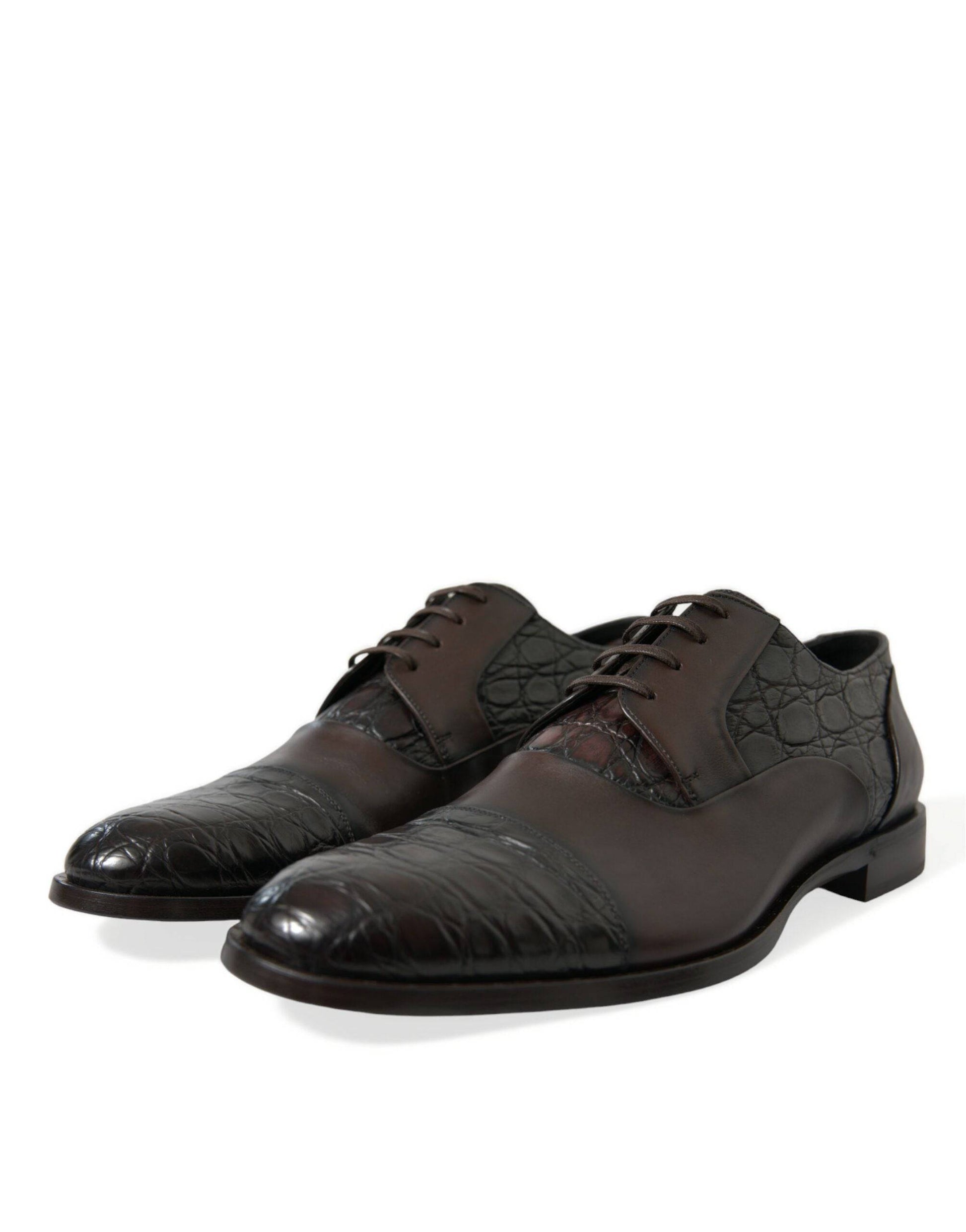 Dolce & Gabbana Elegant Brown Formal Derby Dress Shoes - ACCEXO