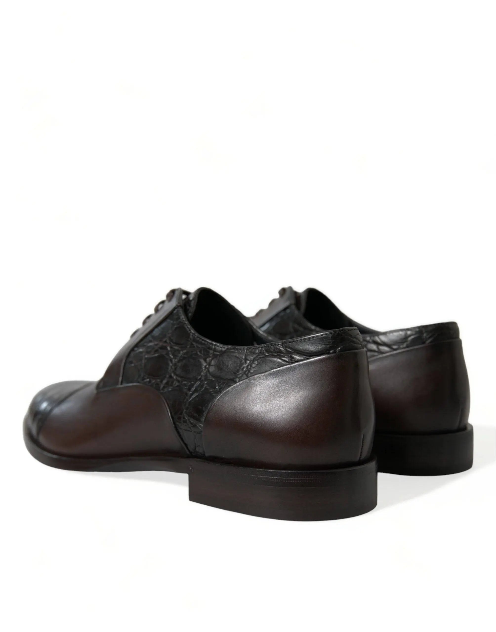 Dolce & Gabbana Elegant Brown Formal Derby Dress Shoes - ACCEXO