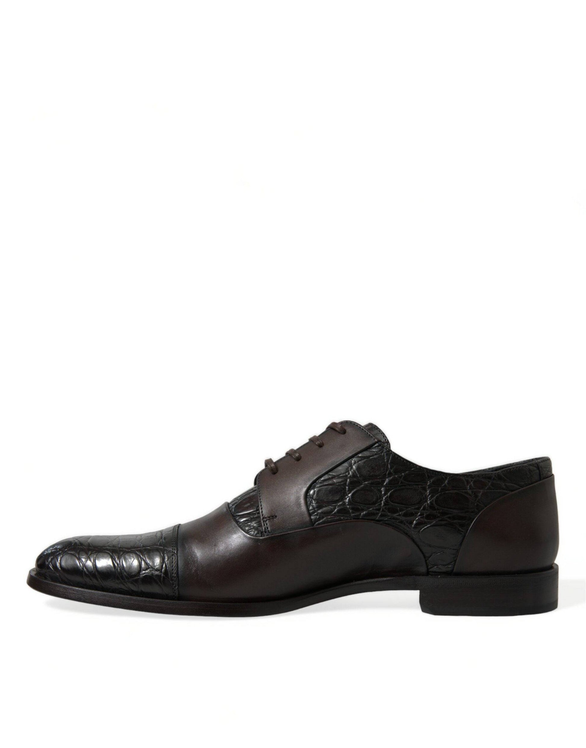 Dolce & Gabbana Elegant Brown Formal Derby Dress Shoes - ACCEXO