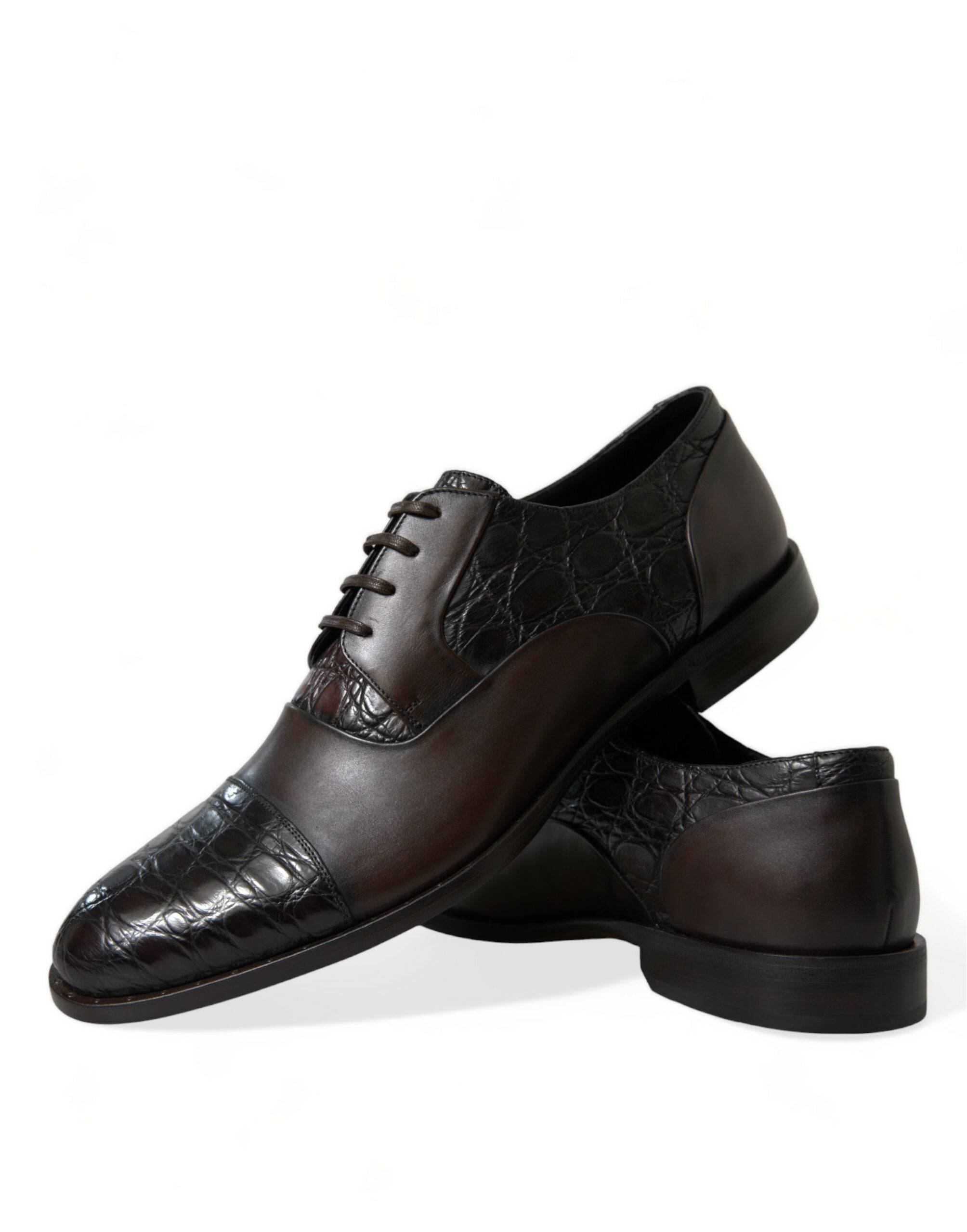 Dolce & Gabbana Elegant Brown Formal Derby Dress Shoes - ACCEXO Main image