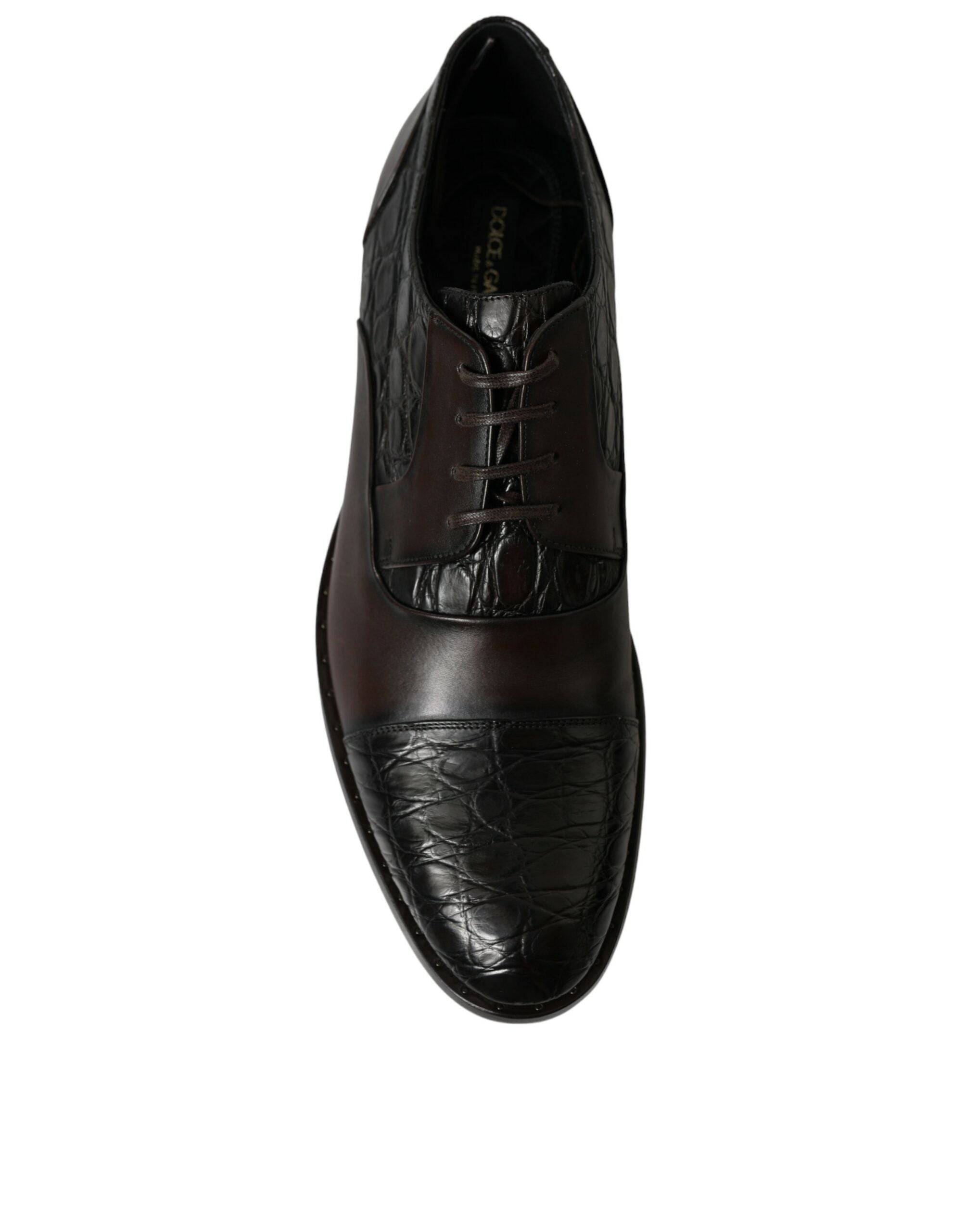 Dolce & Gabbana Elegant Brown Formal Derby Dress Shoes - ACCEXO
