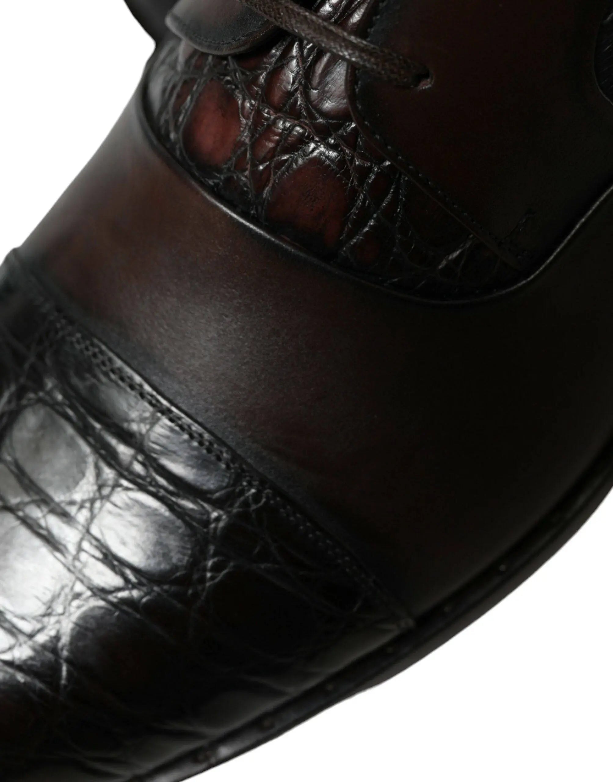 Dolce & Gabbana Elegant Brown Formal Derby Dress Shoes - ACCEXO