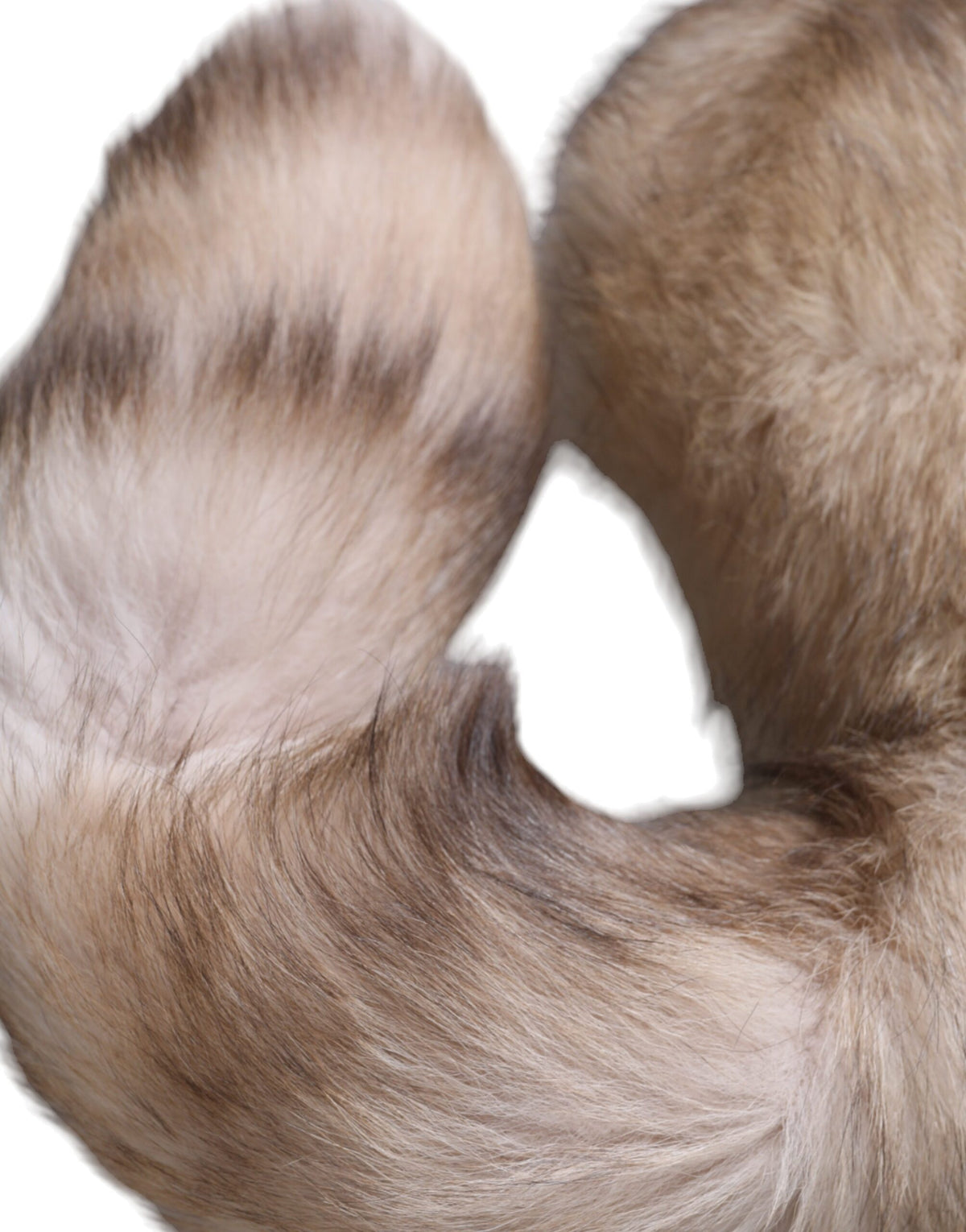 Dolce & Gabbana Brown Frost Fox Fur Neck Warmer Winter Scarf for Women
