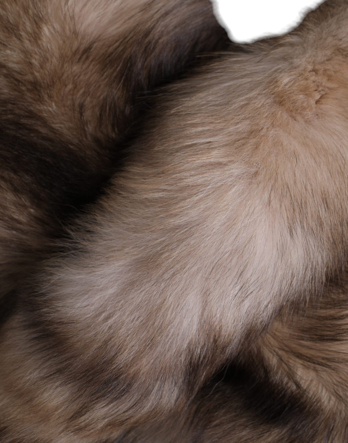 Dolce & Gabbana Brown Frost Fox Fur Neck Warmer Winter Scarf for Women