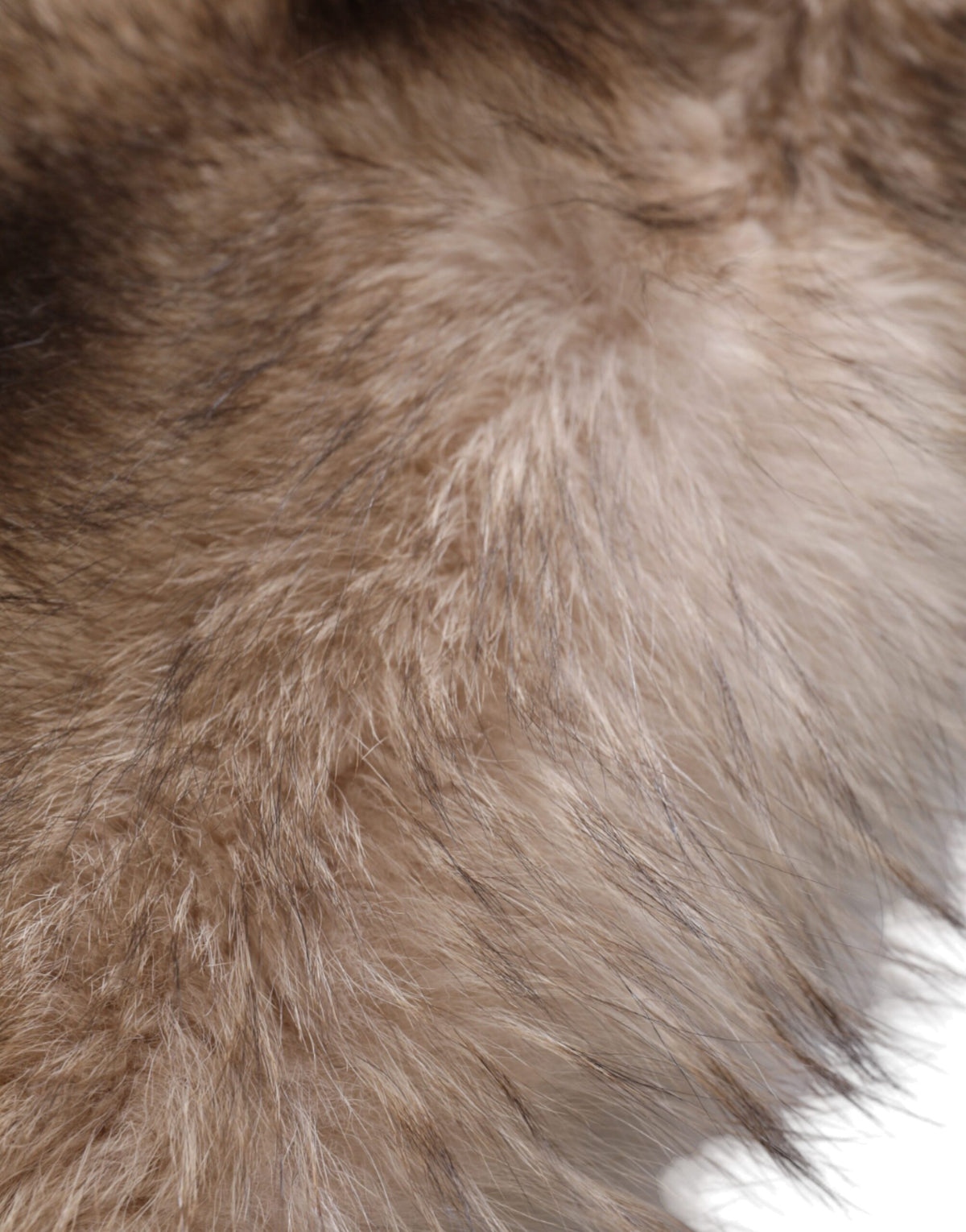 Dolce & Gabbana Brown Frost Fox Fur Neck Warmer Winter Scarf for Women