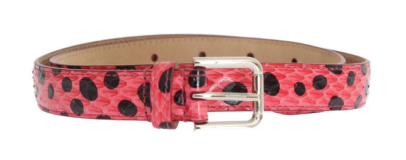 Dolce & Gabbana Polka Dot Snakeskin Belt with Silver Buckle - ACCEXO