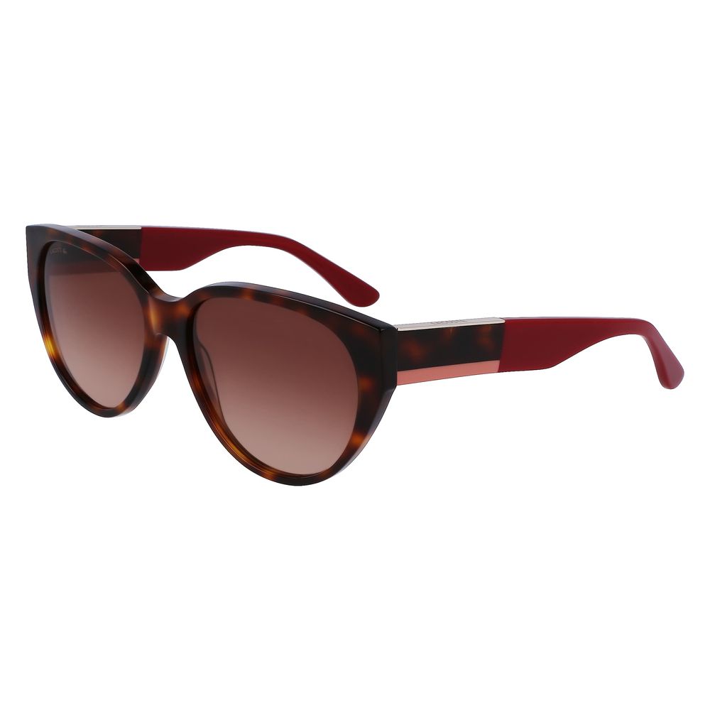 Lacoste Brown Acetate Sunglasses - ACCEXO