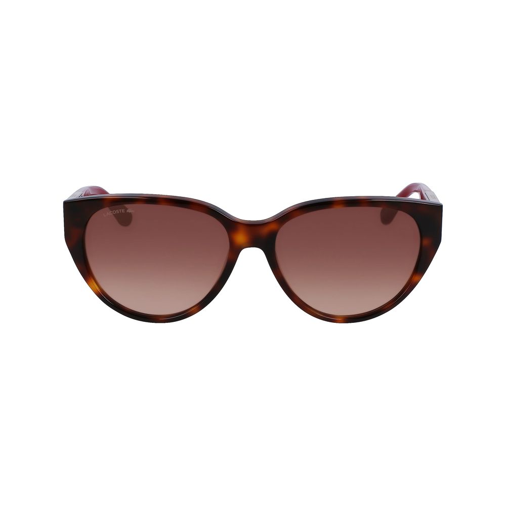 Lacoste Brown Acetate Sunglasses - ACCEXO