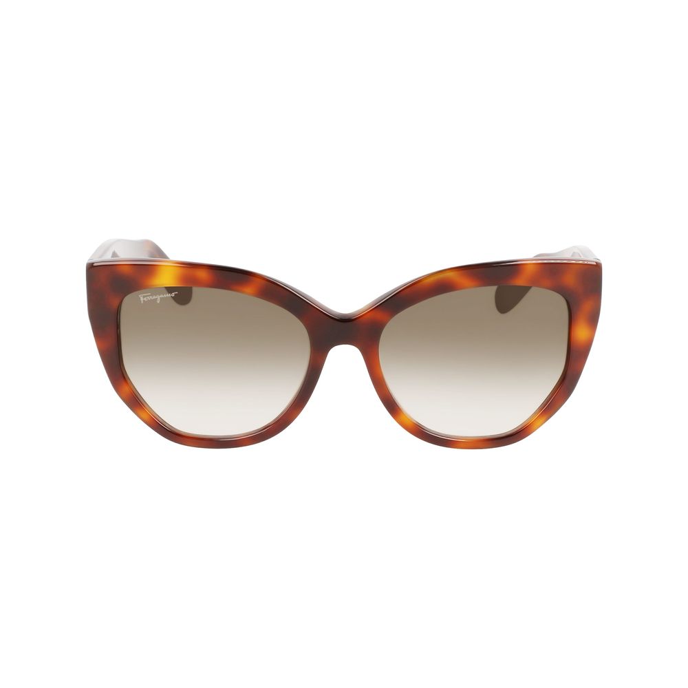 Ferragamo Brown Acetate Sunglasses - ACCEXO