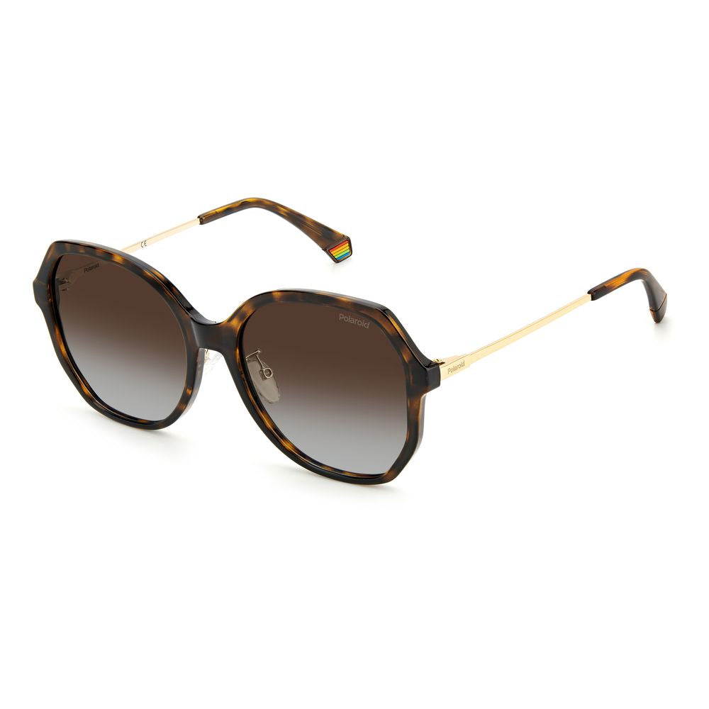 Polaroid Brown Plastic Sunglasses - ACCEXO