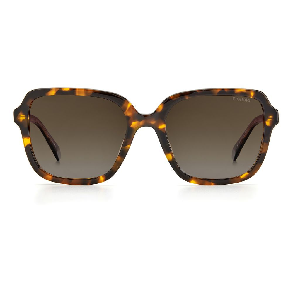 Polaroid Brown Acetate Sunglasses - ACCEXO