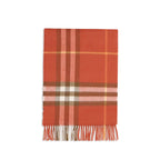 Burberry Multicolor Cashmere Scarf
