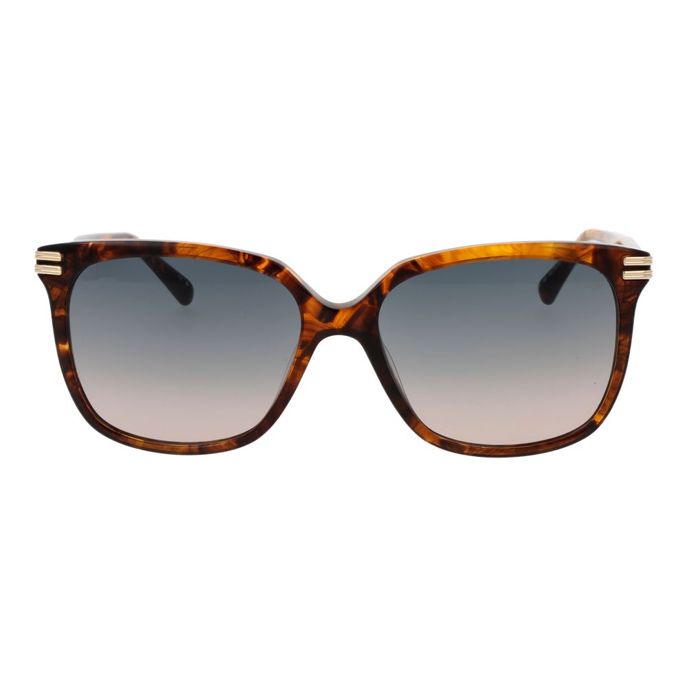 Scotch & Soda Brown Acetate Sunglasses
