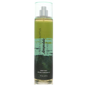 Aeropostale Amber & Eucalyptus Body Mist Spray By Aeropostale - Zachava.com