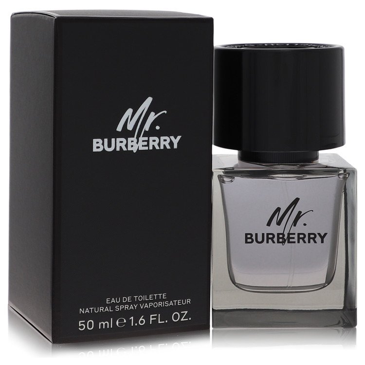 Mr Burberry Eau De Toilette Spray By Burberry - Zachava.com